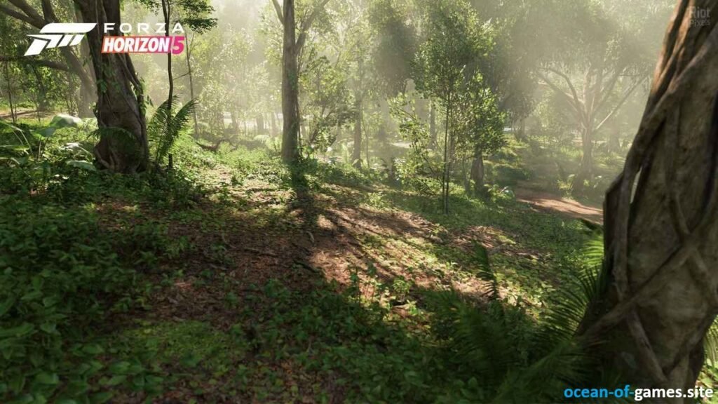 Forza Horizon 5 Premium PC